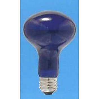【未使用】【中古】 旭光 耐熱透明カラー球 (内面フロストタイプ) R100 110V100W 口金 E26 ブルーフロスト R100 E26 110V-100W (BT)