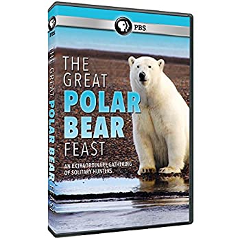 【中古-非常に良い】 Great Polar Bear Feast [DVD] [輸入盤]