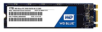 【中古-人並み外れたに好いたらしい】 Western Digital SSD 内蔵SSD M.2 2280 1結核症 Western Digital Blue WDS100T1B0B/SATA3.0/