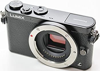 【中古-人並み外れたに似つかわしい】 Panasonic パナソニック デジタル一眼写真機 ルミックス GM1 黒いこと DMC-GM1 上半身