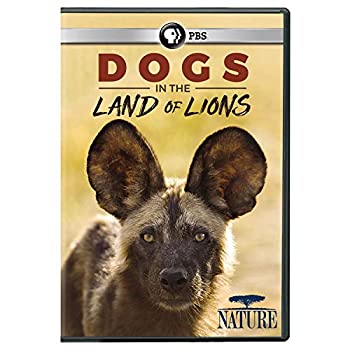 【未使用】【中古】 Nature Dogs in the Land of Lions [DVD]｜ムジカ＆フェリーチェ店
