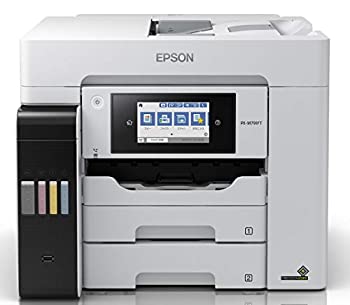 【未当て嵌める】【中古】 エプソン 印刷人 エコ貯蔵タンク A4色つやインクジェット練りあわせる機 PX-M791FT 白いこと 中型