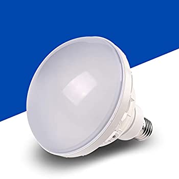 【中古-非常に良い】 PAR56 LED ビーム電球 80W 高天井用LED 80W 省エネ 1000Wバラストレス 水銀灯相当 ledバラストレス水銀灯 レス水銀灯 ビーム電球 IP65防雨 e39電