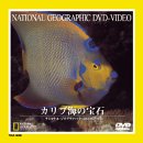【未使用】【中古】 カリブ海の宝石 [DVD]