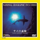 【未使用】【中古】 サメの素顔 [DVD]