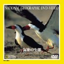 【未使用】【中古】 湿地の生態 [DVD]