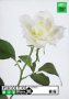 【未当て嵌める】【中古】 Photobit 20 ローズ