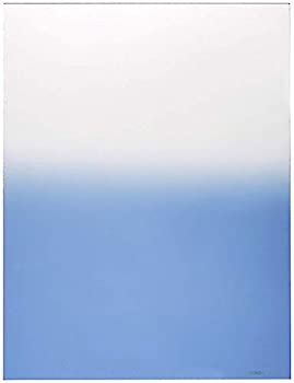 【未使用】【中古】 Cokin 角型レンズフィルター X122 ブルー 1 170×130mm 色彩効果用 500431