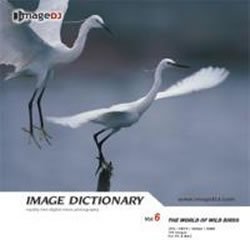 【中古】 イメージ ディクショナリー Vol.6 野鳥