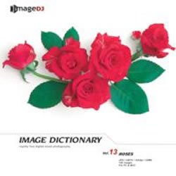 【未使用】【中古】 イメージ ディクショナリー Vol.13 薔薇