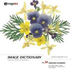 【未使用】【中古】 イメージ ディクショナリー Vol.34 押花