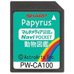 【未使用】【中古】 SHARP シャープ コンテンツカード 動物図鑑カード PW-CA100 (PW-J5000対応)