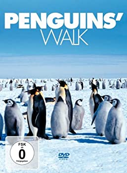 【中古】 Penguins Walk [DVD] [輸入盤] 6,654円