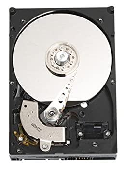 【中古-人並み外れたに好いたらしい】 Western Digital Caviar 3.5in内蔵型HDD 250GB/S-ATA WD2500JS