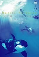 【中古-非常に良い】 Marine Paradise Vol.12 ~南太平洋/アメリカ編~ [DVD]