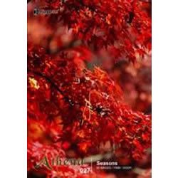 【中古】 アテナ Vol.27 季節の景色