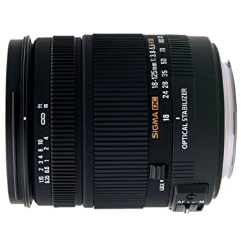 【中古-非常に良い】 シグマ 18-125mm F3.8-5.6 DC HSM ソニー用