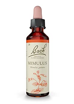 【中古】【インポート品・未当て嵌める】徽章御花 ミムラス 気狂い水軍事基地 20ml