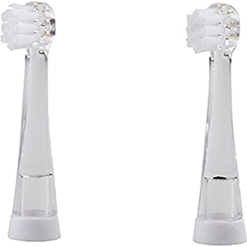 【中古】【インポート品・未当て嵌める】ジェイシーティ アオラ もの言う花用取替え毛はらい 2本仕掛ける sg902H