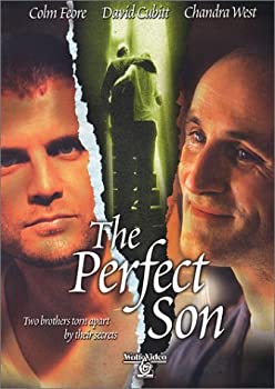 【中古】【輸入品・未使用】The Perfect Son　[DVD] [Import]｜ムジカ＆フェリーチェ店