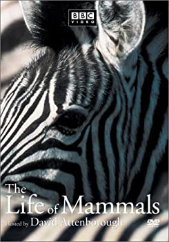 【中古】【輸入品・未使用】Life of Mammals 1 [DVD]｜ムジカ＆フェリーチェ店 15,825円
