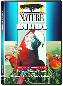 【中古】【輸入品・未使用】Nature: Birds [DVD] [Import]｜ムジカ＆フェリーチェ店 10,503円