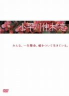 【中古】【輸入品・未使用】小早川伸木の恋 DVD-BOX｜ムジカ＆フェリーチェ店