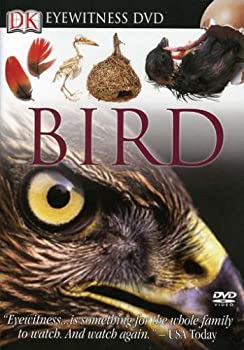 【中古】【輸入品・未使用】Bird [DVD] [Import]｜ムジカ＆フェリーチェ店