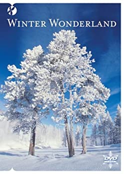 【中古】【輸入品・未使用】Winter Wonderland｜ムジカ＆フェリーチェ店