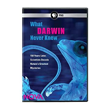 【中古】【輸入品・未使用】Nova: What Darwin Never Knew [DVD] [Import]｜ムジカ＆フェリーチェ店