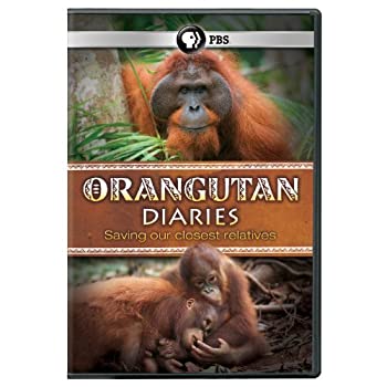 【中古】【輸入品・未使用】Orangutan Diaries [DVD] [Import]