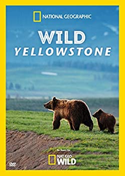 【中古】【輸入品・未使用】Wild Yellowstone [DVD] [Import]｜ムジカ＆フェリーチェ店