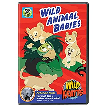 【中古】【輸入品・未使用】Wild Kratts: Wild Animal Babies [DVD] [Import]｜ムジカ＆フェリーチェ店