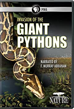 【中古】【輸入品・未使用】Nature: Invasion of the Giant Pythons [DVD] [Import]｜ムジカ＆フェリーチェ店