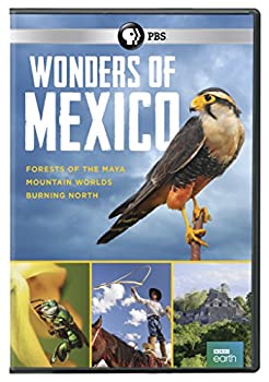 【中古】【輸入品・未使用】Wonders Of Mexico [DVD]｜ムジカ＆フェリーチェ店
