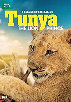 【中古】【輸入品・未使用】Tunya the Lion Prince [DVD]｜ムジカ＆フェリーチェ店