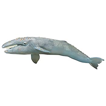 【中古】【輸入品・未使用】サファリ レプリカ コククジラ(親)