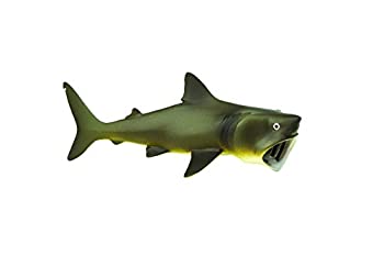 【中古】【輸入品・未使用】サファリ レプリカ ウバザメ｜ムジカ＆フェリーチェ店