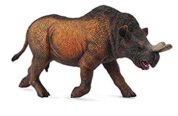 【中古】【輸入品・未使用】CollectA Megacerops Toy (1:20 Scale) [並行輸入品]