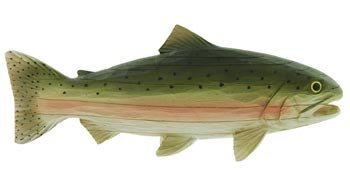 【中古】【輸入品・未使用】Trout Fish forシェルフまたはMantle (carved-wood Look) 11?%ﾀﾞﾌﾞﾙｸｫｰﾃ%