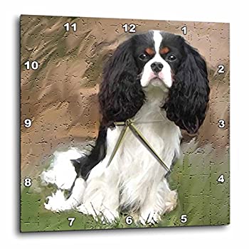 【中古】【インポート品・未当てはめる】3dRose LLC Cavalier Spaniel 壁時辰儀 10×10in