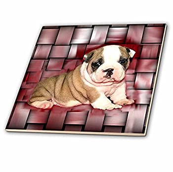 【中古】【輸入品・未使用】犬ブルドッグ???British Bulldog Puppy???タイル 6-Inch-Ceramic ct_4118_2|ムジカ&フェリーチェ店
