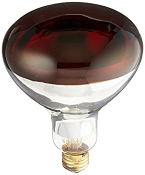 【中古】【輸入品・未使用】Satco Products S4998 250BR40/HR Medium Base Red Heat Lamp by Satco [並行輸入品]｜ムジカ＆フェリーチェ店