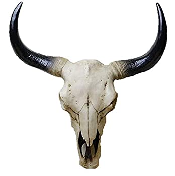 【中古】【インポート品・未当て嵌める】Mayrich Southwestern Cow Steer Skull Wall Hanging
