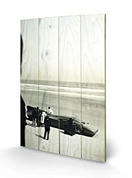 【中古】【輸入品・未使用】Pyramid International ブルーバード ウッドプリント マルチカラー 40 x 59 cm 40 x 59 cm SW10115