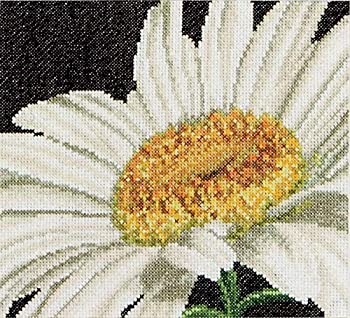 【中古】【インポート品・未当て嵌める】Thea Gouverneur 18 Count Marguerite on Aida Counted Cross Stitch Kit%ｶﾝﾏ% 6 x 5.5 by Thea Gouverneur