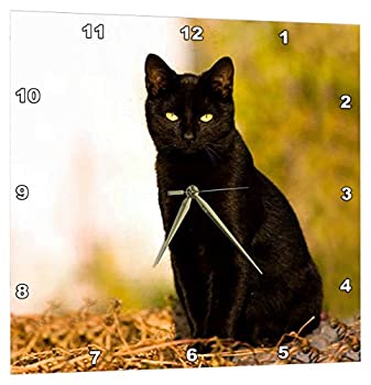 【中古】【輸入品・未使用】3dRose Black Cat - 壁時計 13x13インチ (DPP_3163_2)