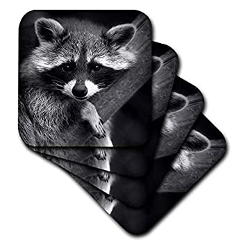 【中古】【輸入品・未使用】(set-of-4-Ceramic) - 3dRose cst_173001_3 Baby Raccoon Black and White Digital Image Ceramic Tile Coasters%ｶﾝﾏ% Set of 4 16,814円