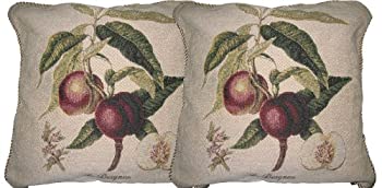 【中古】【輸入品・未使用】Dada寝具dp-312?Nectarine Woven装飾枕、18?by 18インチ、2のセット