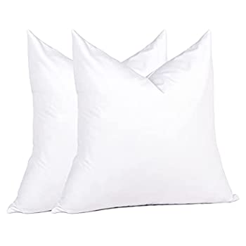 【中古】【インポート品・未当て嵌める】(ピュアダウン) puredown 四角四面ピローインサート 2個容器に並べる 18×18 95%羽毛 5%落ち込む 20x20%ﾀﾞﾌﾞﾙｸｫｰﾃ% 白いこと PD-PI-15002-C [並行輸入